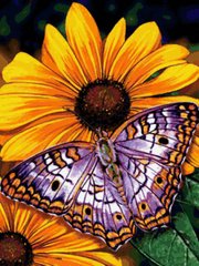 Алмазная вышивка Бабочка на цветке ТМ Алмазная мозаика (DMF-177, На подрамнике) фото интернет-магазина Raskraski.com.ua