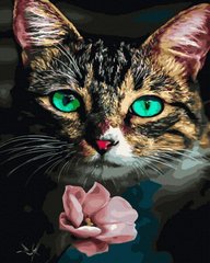 Картина за номерами Кішка та квітка (BK-GX45022) (Без коробки)