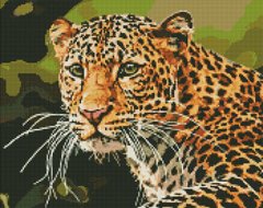 Алмазная мозаика Зеленоглазый леопард Идейка (AMO7502, На подрамнике) фото интернет-магазина Raskraski.com.ua