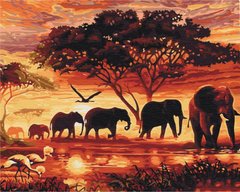 Картина за номерами Слони в савані (BS5189) (Без коробки)