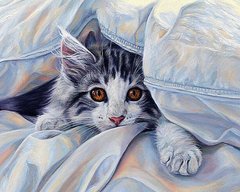 Набор алмазная вышивка Кошка под одеялом ТМ Алмазная мозаика (DM-143, Без подрамника) фото интернет-магазина Raskraski.com.ua
