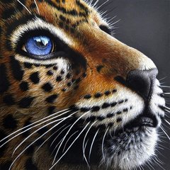 Алмазная вышивка Взгляд леопарда ТМ Алмазная мозаика (DMF-399, На подрамнике) фото интернет-магазина Raskraski.com.ua