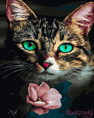 Картина за номерами Кішка та квітка (BK-GX45022) (Без коробки)
