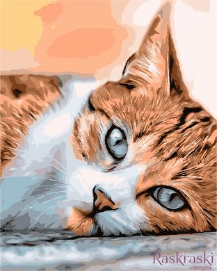 Малювання по номерам Сонний кіт (AS1024) ArtStory фото інтернет-магазину Raskraski.com.ua