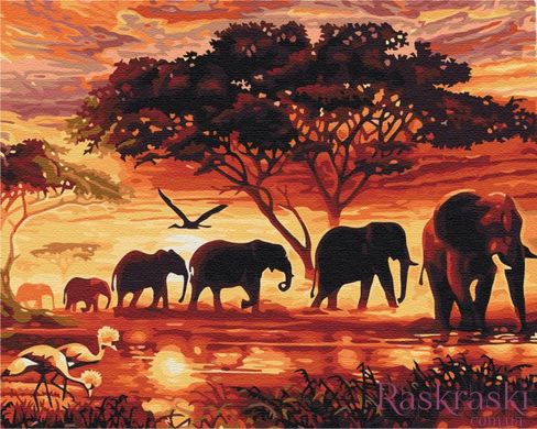 Картина за номерами Слони в савані (BS5189) (Без коробки)