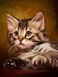 Алмазная живопись Милый котенок ТМ Алмазная мозаика (DM-194, Без подрамника) — фото комплектации набора