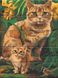Картина по номерам Рыжие котики (ASW178) ArtStory — фото комплектации набора