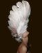 Картина по номерам Женщина в перьях (PGX35262) Brushme Premium — фото комплектации набора