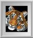Картина з мозаїки Тигри (повна зашивання, квадратні камені) Dream Art (DA-30220) — фото комплектації набору