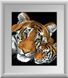 Алмазная картина Тигры (полная зашивка, квадратные камни) Dream Art (DA-30220, Без подрамника) 42 х 50 см &mdash; фото комплектации набора