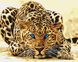 Картина по номерам Леопард (KH2450) Идейка — фото комплектации набора