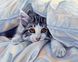 Набор алмазная вышивка Кошка под одеялом ТМ Алмазная мозаика (DM-143, Без подрамника) — фото комплектации набора