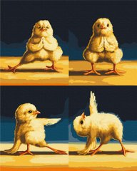 Раскраска для взрослых Цыплята йоги 2©Lucia Heffernan (BSM-B53570) фото интернет-магазина Raskraski.com.ua