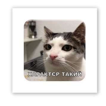 3D-стікер Характєр такий