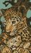 Алмазная мозаика Леопард с малышом (22 х 37 см) Dream Art (DA-31841, Без подрамника) — фото комплектации набора