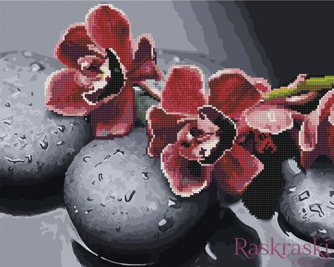 Алмазная картина Орхидея на камнях (BGZS1111) Rainbow Art фото интернет-магазина Raskraski.com.ua