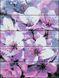 Картина за номерами на дереві Первоцвіт (ASW006) ArtStory — фото комплектації набору