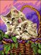 Раскраска для взрослых Котики в корзинке (VK120) Babylon — фото комплектации набора