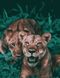 Картина по номерам Хищные джунгли (AS1101) ArtStory — фото комплектации набора