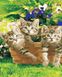Картина за номерами Кошенята в саду (AS1051) ArtStory — фото комплектації набору