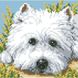 Алмазная живопись Взгляд щенка ТМ Алмазная мозаика (UA-037, Без подрамника) — фото комплектации набора