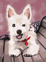Картина по номерам Игривый щенок (KHO4289) Идейка (Без коробки)
