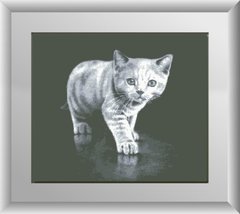 Набор алмазная вышивка Серый котёнок (полная зашивка, квадратные камни) Dream Art (DA-30146, Без подрамника) фото интернет-магазина Raskraski.com.ua