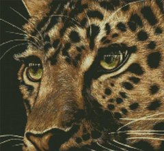 Алмазна картина Леопард (46 х 50 см) Dream Art (DA-31527) фото інтернет-магазину Raskraski.com.ua