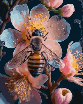 Картина по номерам Пчела на цветке (BRM46032) фото интернет-магазина Raskraski.com.ua