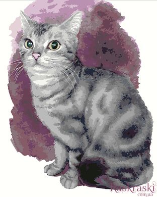Картина по номерам Маленький котенок (KHO4187) Идейка (Без коробки)
