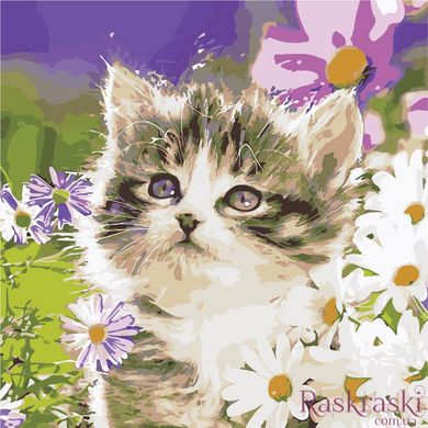 Картина за номерами Кіт в ромашках (AS0935) ArtStory (Без коробки)