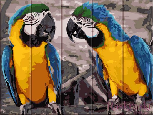 Картина по номерам на дереве Два попугая (ASW057) ArtStory фото интернет-магазина Raskraski.com.ua