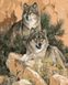 Картина за номерами Вовки (AS0061) ArtStory — фото комплектації набору