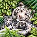 Картина алмазная вышивка Белая тигрица с тигрятами ТМ Алмазная мозаика (DMF-283, На подрамнике) — фото комплектации набора