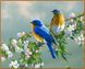 Раскраска по номерам Птички на яблоне (NB809R) Babylon — фото комплектации набора