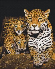 Картина по номерам Ночные леопарды (BS52791) (Без коробки)