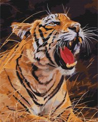 Раскраска по номерам Рев тигра (BS52414) (Без коробки)