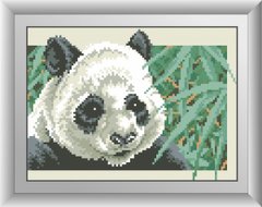 Алмазна вишивка Панда в бамбуковому гаю (квадратні камені, повна зашивання) Dream Art (DA-30374) фото інтернет-магазину Raskraski.com.ua