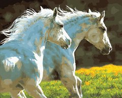 Уценка Картина по номерам Пара белых лошадей (UC-BK-GX30151) (Без коробки)