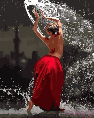 Раскраски по номерам Танец воды (AS1003) ArtStory фото интернет-магазина Raskraski.com.ua