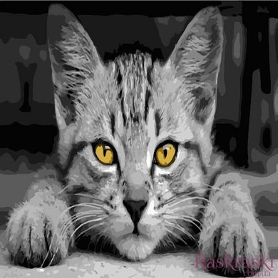 Картина по номерам Серый кот (AS0502) ArtStory (Без коробки)