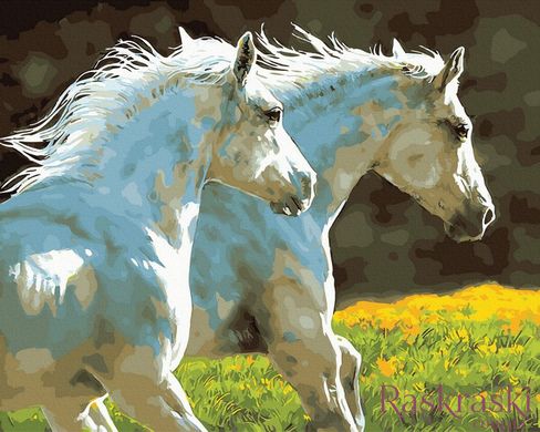 Уцінка Картина за номерами Пара білих коней (UC-BK-GX30151) (Без коробки)