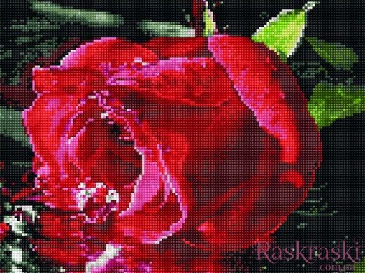 Набор алмазная мозаика Алая роза Rainbow Art (EJ984, На подрамнике) фото интернет-магазина Raskraski.com.ua