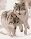 Картина за номерами Снігові вовки (AS0062) ArtStory — фото комплектації набору