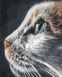 Живопис по номерам Погляд кішки (BRM37082) — фото комплектації набору