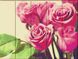Розмальовка по номерах на дереві Рожеві троянди (ASW125) ArtStory — фото комплектації набору