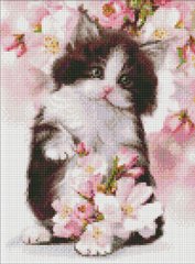 Алмазная живопись Пушистый котенок Идейка (AMO7577, На подрамнике) фото интернет-магазина Raskraski.com.ua