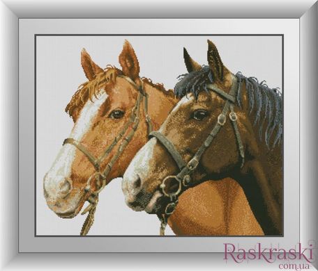 Набор алмазная мозаика Пара лошадей Dream Art (DA-30887, Без подрамника) фото интернет-магазина Raskraski.com.ua