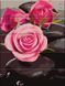 Картина за номерами на дереві Троянди на камінні (ASW081) ArtStory — фото комплектації набору