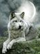 Алмазная живопись Волк под луной My Art (MRT-TN503, На подрамнике) — фото комплектации набора